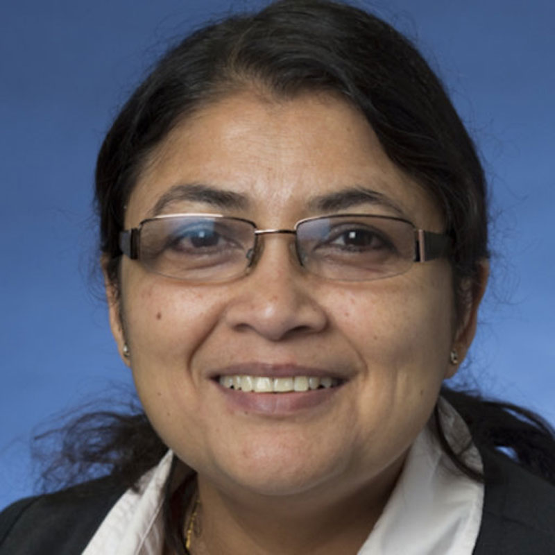 Professor Namita Roy Choudhury