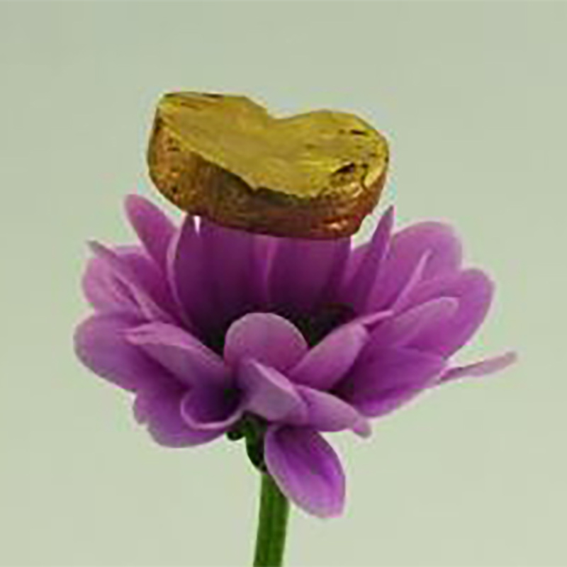 Flower head with piece of gold hovering above