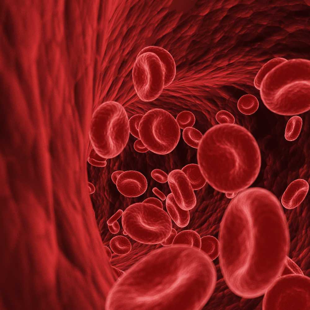 Blood cells in human artery