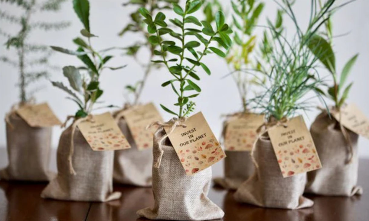 sustainable events guide