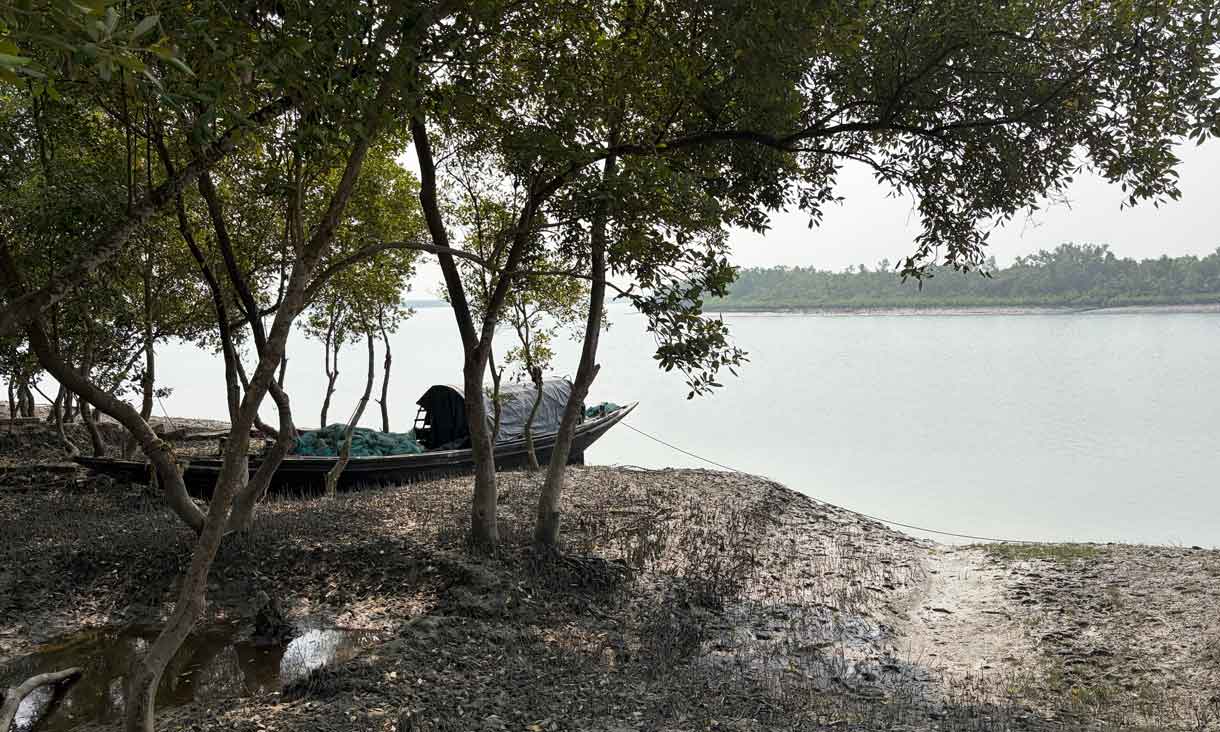 Sundarbans, 2026, Image courtesy of Pratyay Raha