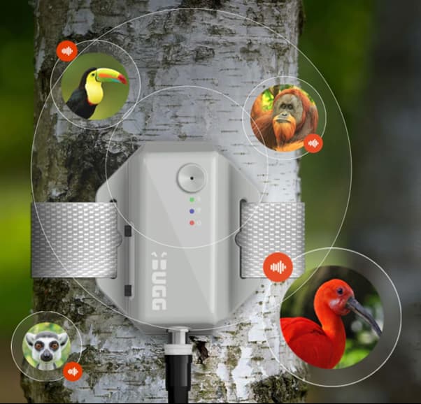 Eco acoustic monitoring device on tree
