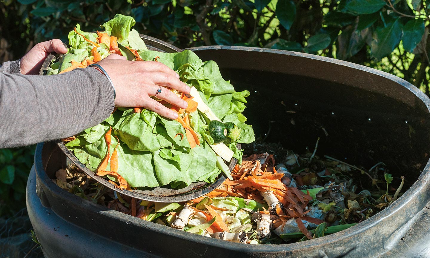 A container of vegetable scraps being added to a compost bin