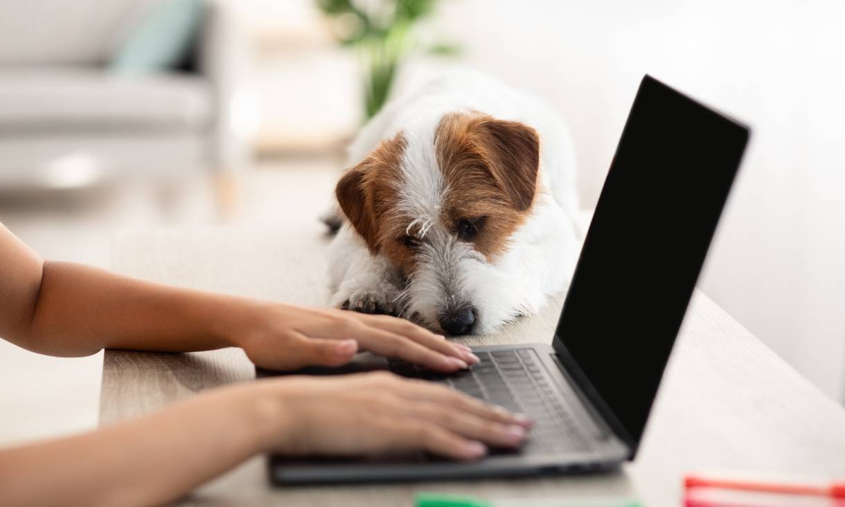 Library - RMIT University