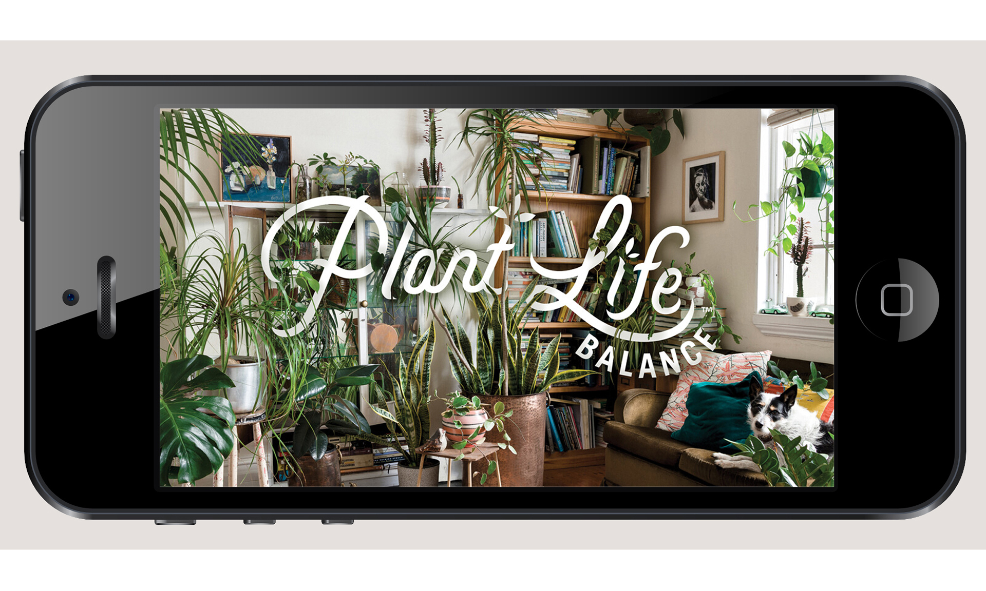 Plant life balance