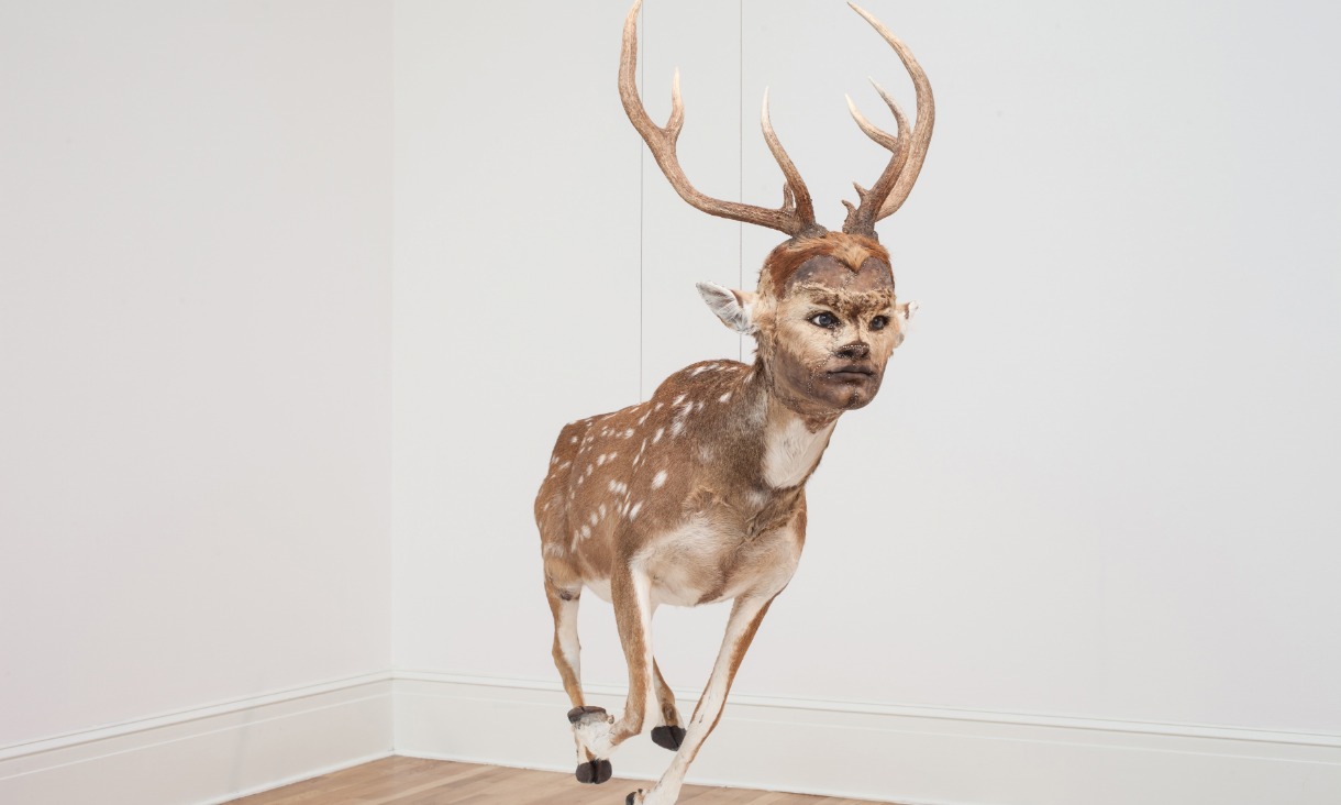 Hybrid creature deer with a human face