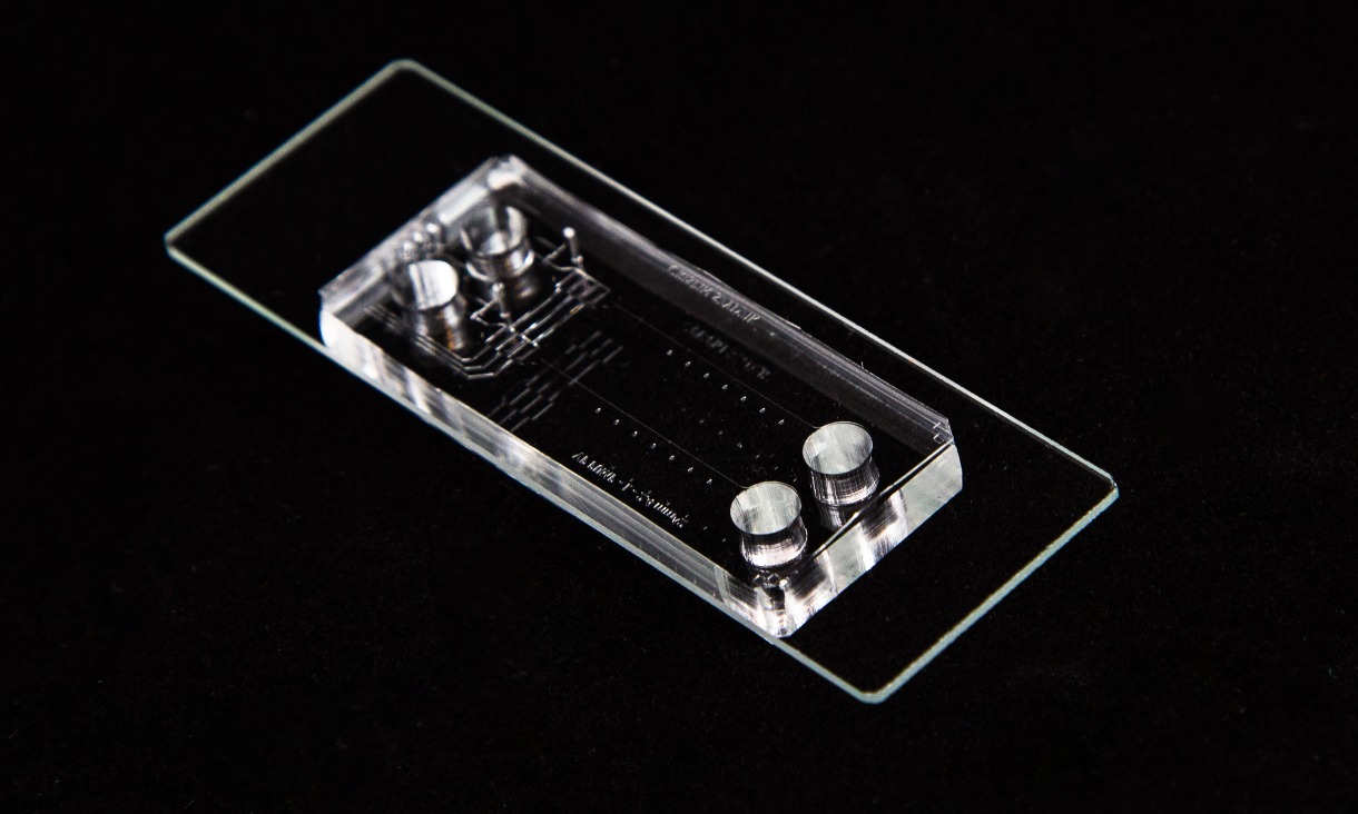 Microfluidic Chip 21