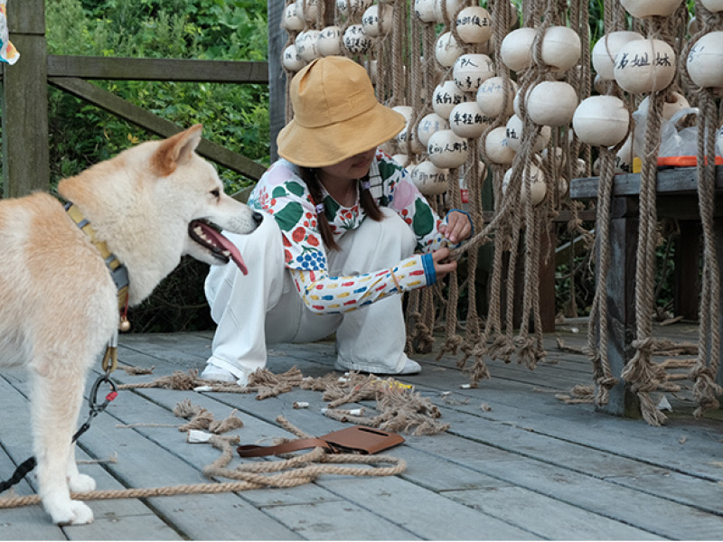 Person tying lantern knots whilst shiba dog watches on