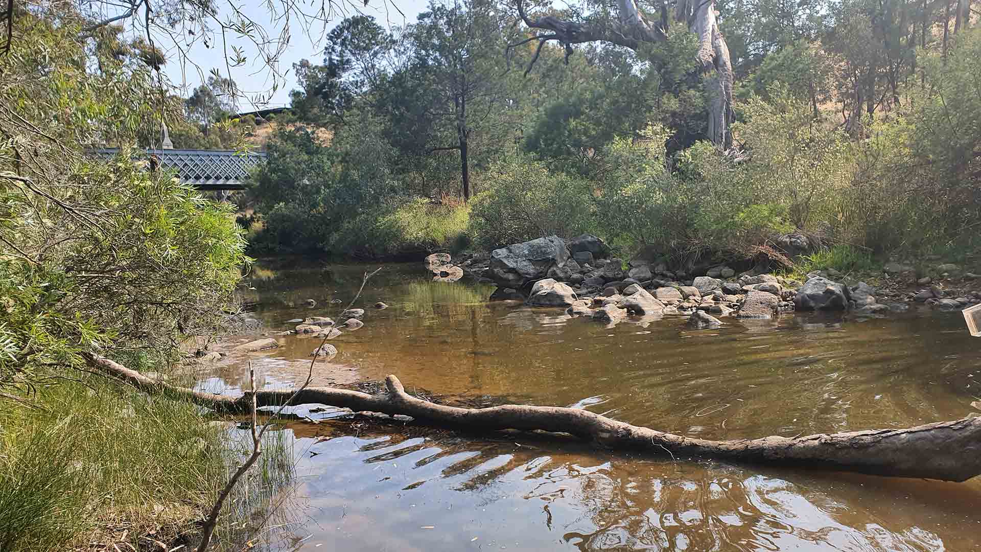Campaspe River with a bridge in the background