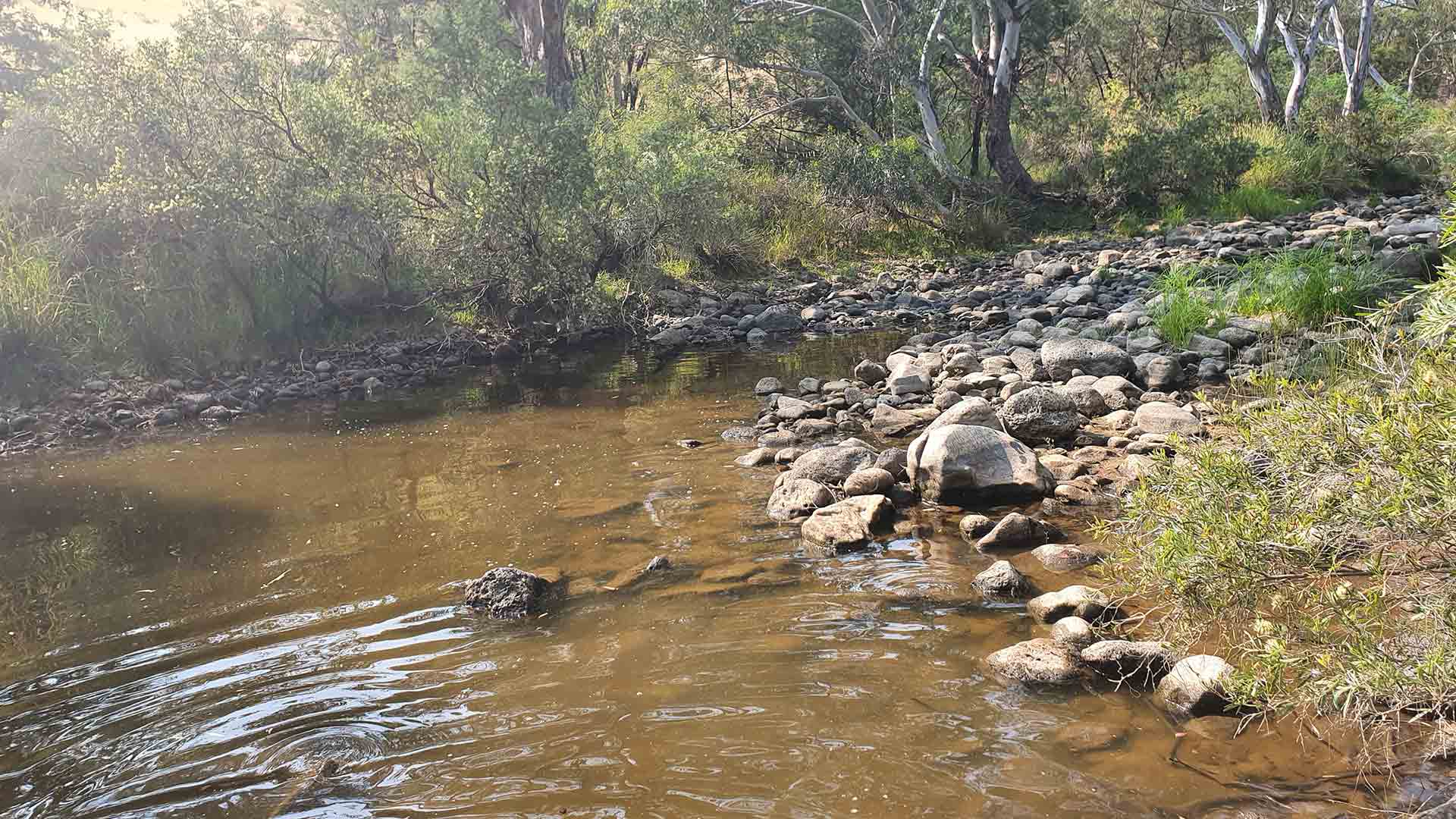 Campaspe River with rocks along the side