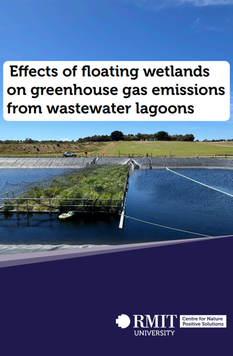 Cover page of Regenerating Our Coasts