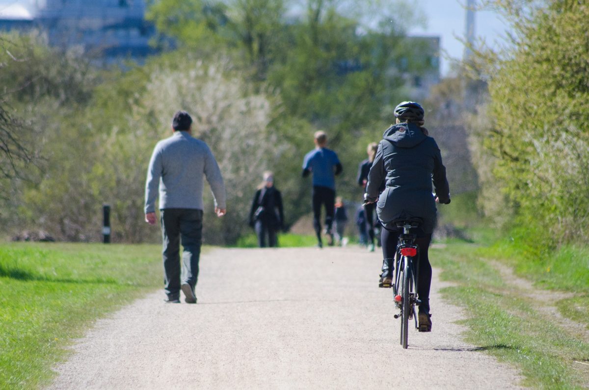 People walking and riding bikes through a park on a sunny day.