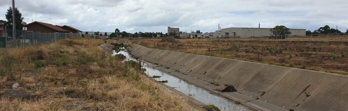 Upper Stony Creek before transformation showing the sgream running through a concrete culvert.