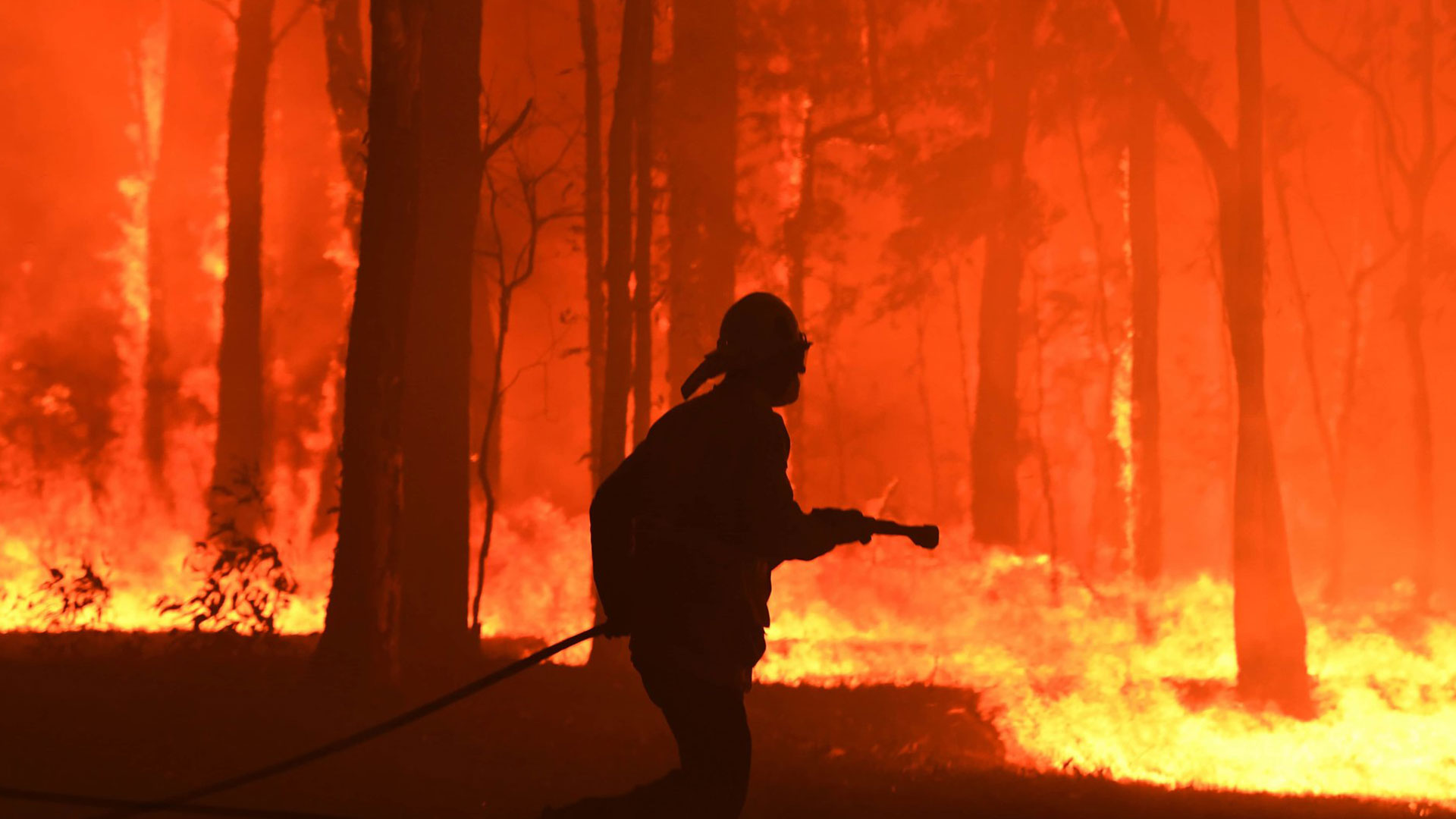 firefighter standing in bushfire inferno with firehose