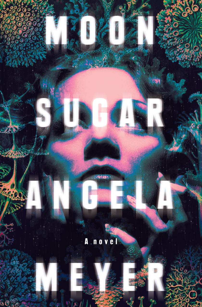 Moon Sugar by Angela Meyer Novel Cover