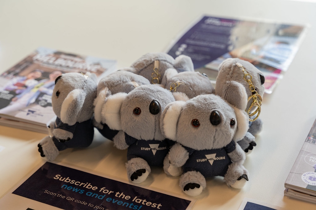 Koala keychains provided by Study Melbourne as gifts for students.