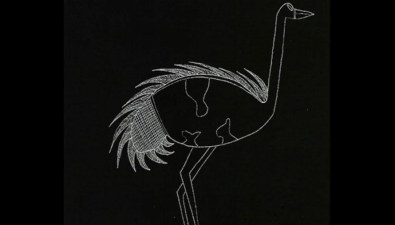 A drawing of an emu on a blackboard.