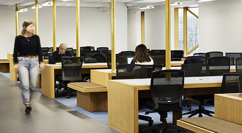 Students study in the RMIT library.
