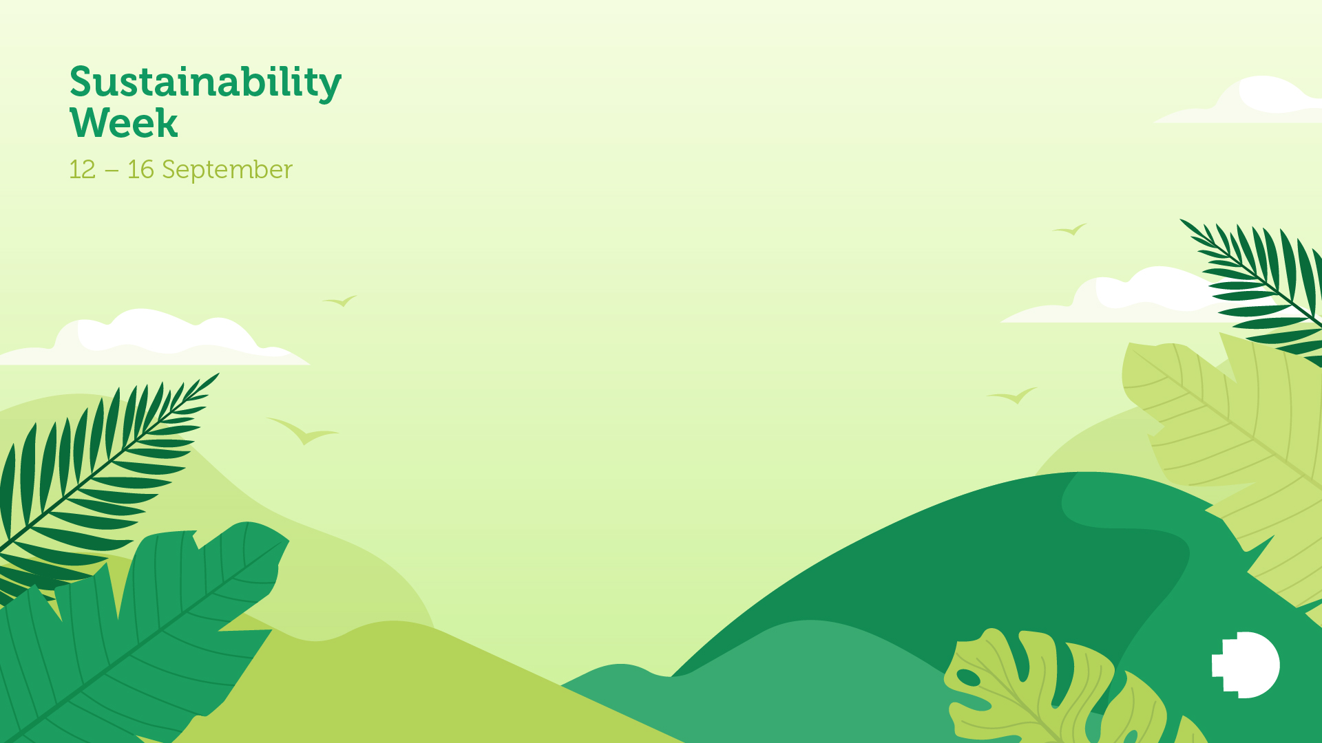 Green illustrated image with Sustainabilty Week written in top left hand corner 