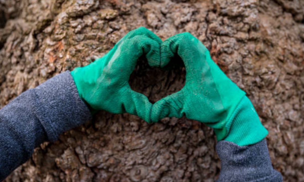 Hands in gardening gloves making heart symbol