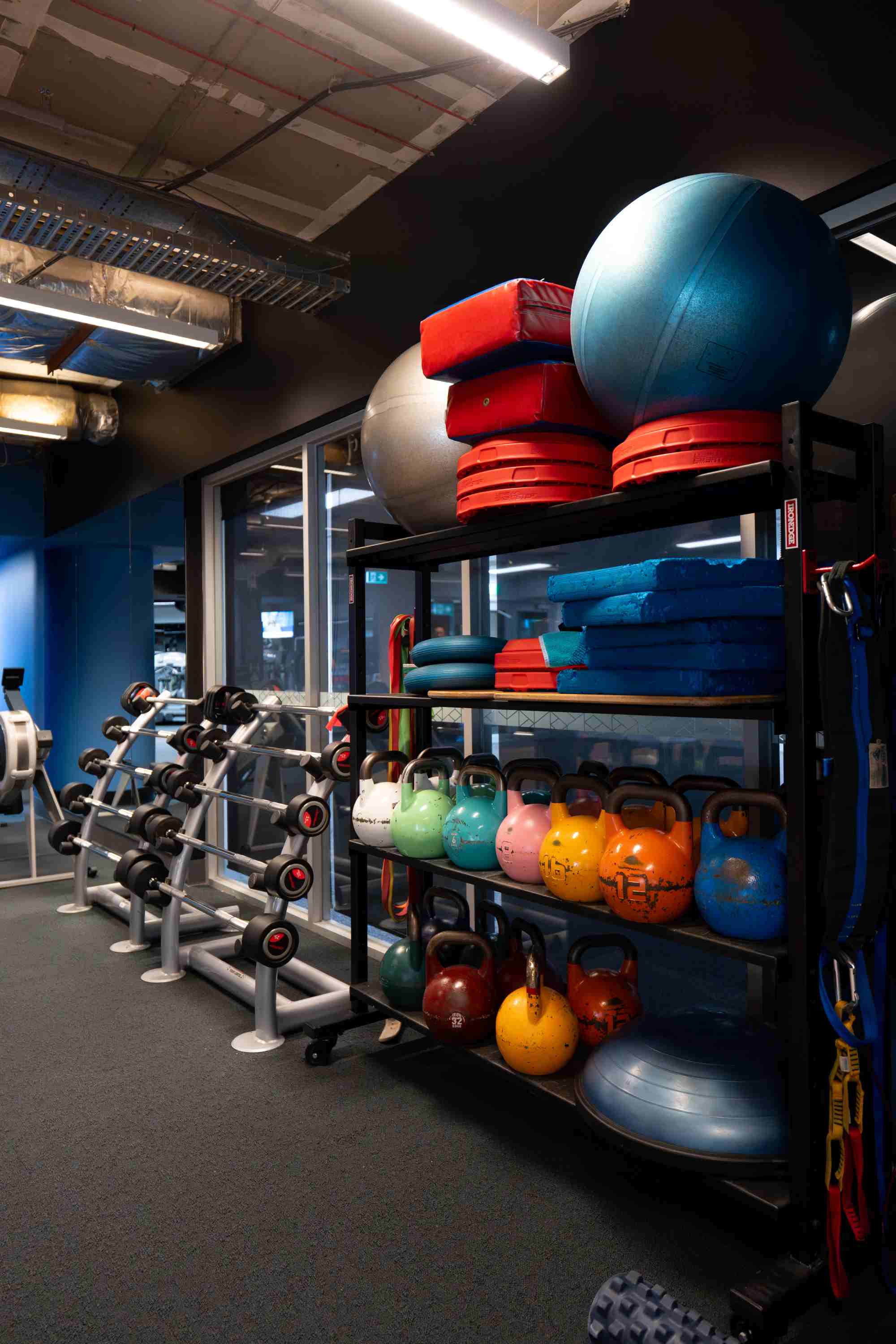 RMIT Active Hub weights and equipment 