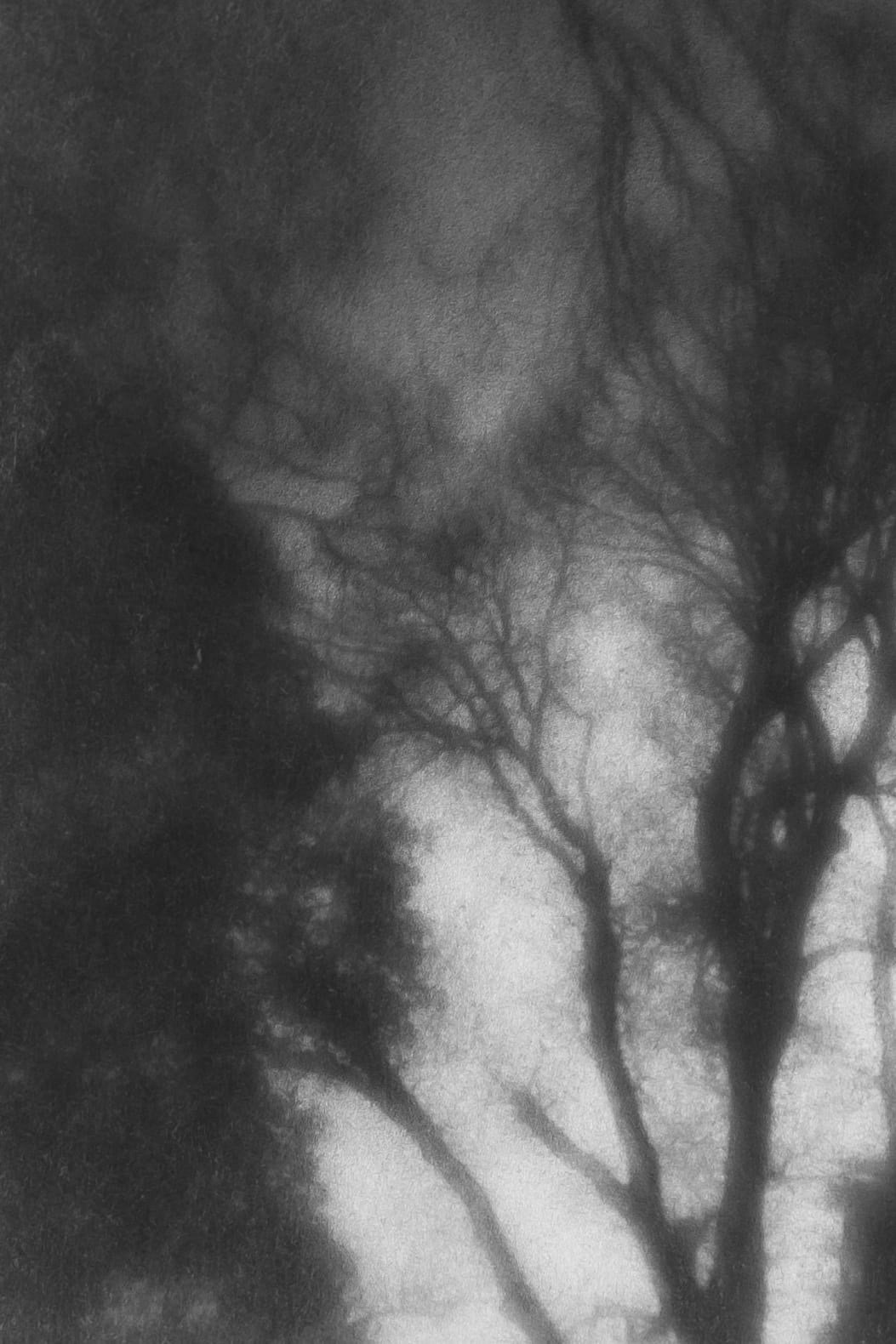 Haichen Zhang, ‘Something flickers on and off, something is pierced through’, 2024, camera obscura.