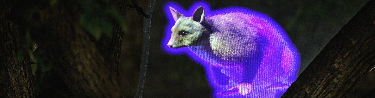 A purple and blue digital projection of a bibly sits in a tree in this art installation 