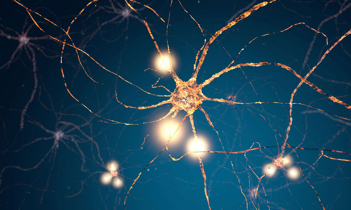 An abstract image of a neuron