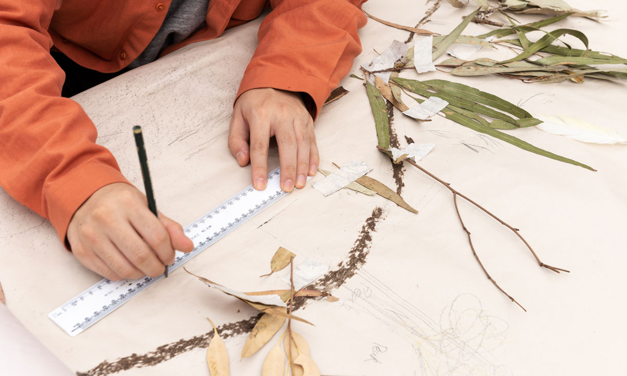 Drawing landscapes on a page, with gum leaves for inspiration