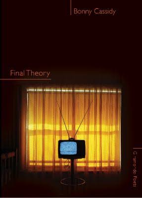 final theory cover