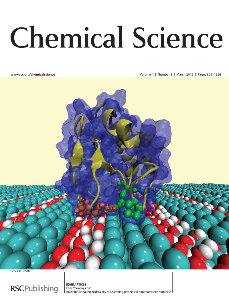 Amphiphilic amino acids: a key to adsorbing proteins to nanopatterned surfaces? A. Hung, M. Mager, M. Hembury, F. Stellacci, M. M. Stevens, I. Yarovsky, Chemical Science, 4 (2013) 928 – 937