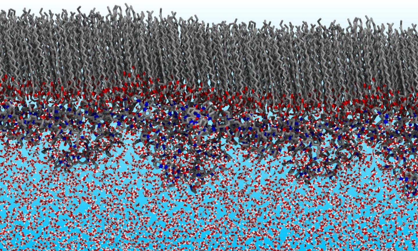 Abstract image of surface permeability