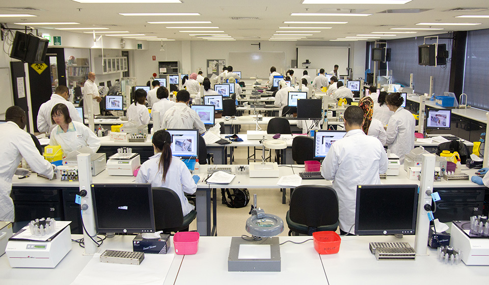 Wide shot of a large medical laboratory with many people working at computer stations