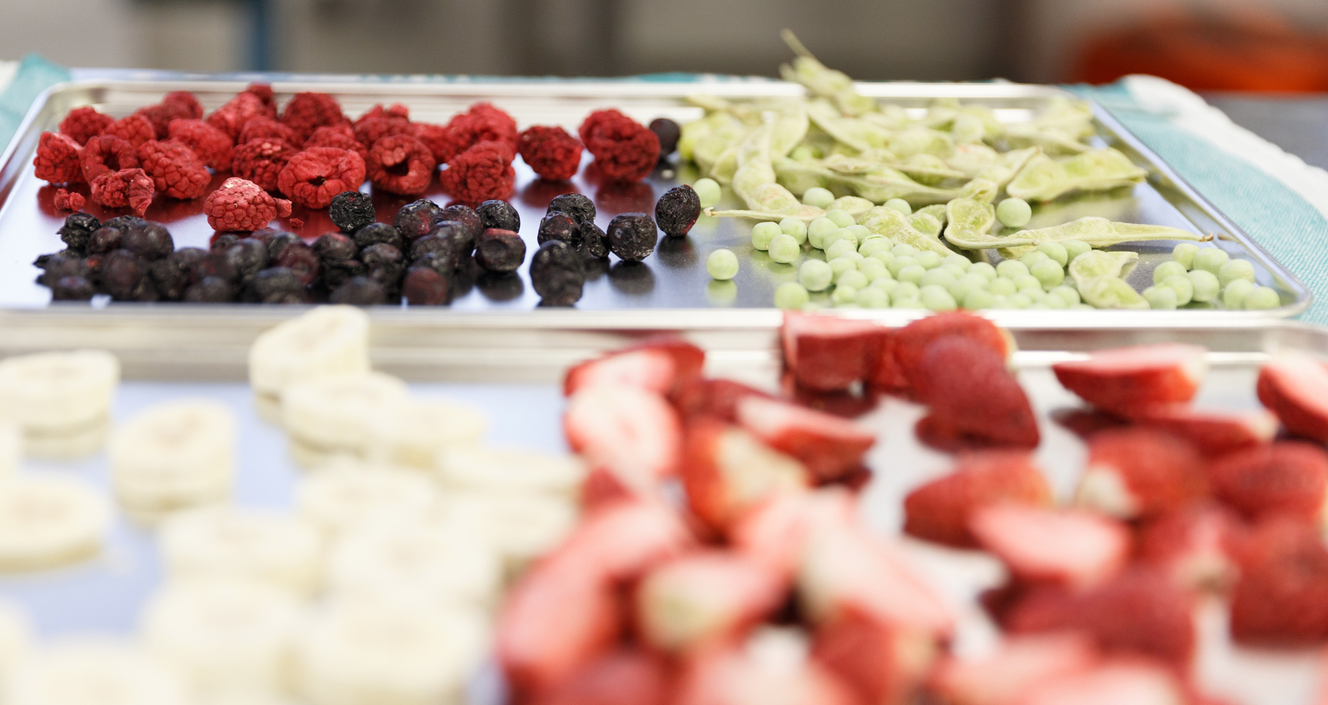 trays of fruit