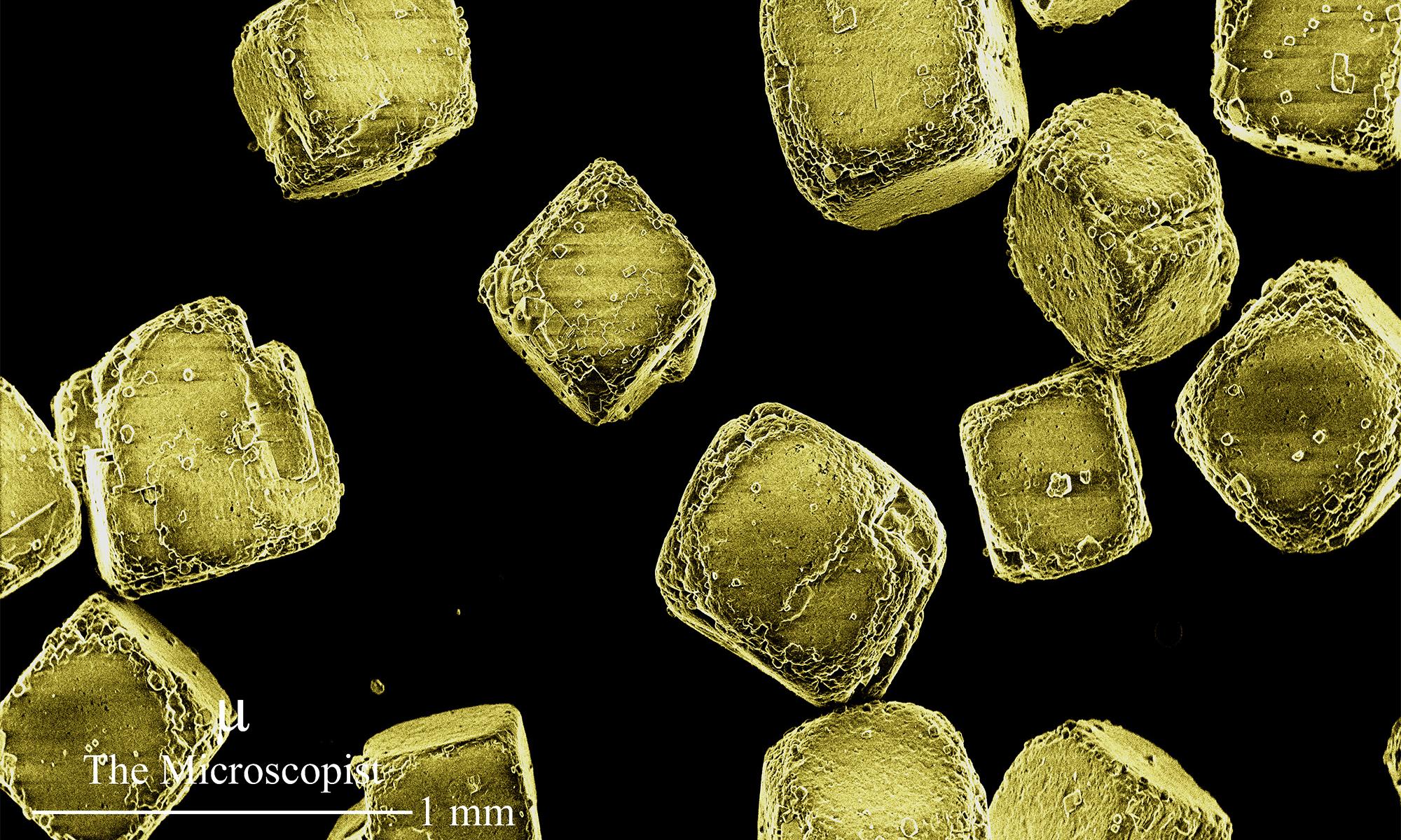 Microscopic salt crystals.