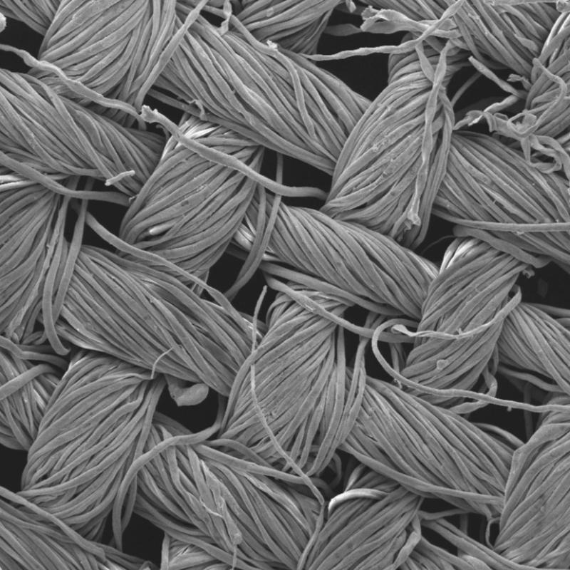 Microscopic image of cotton mesh.
