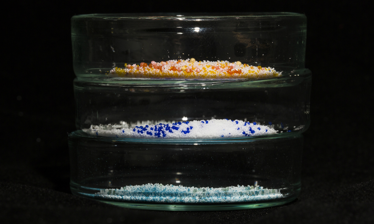 Three petri dishes with colourful microbeads inside