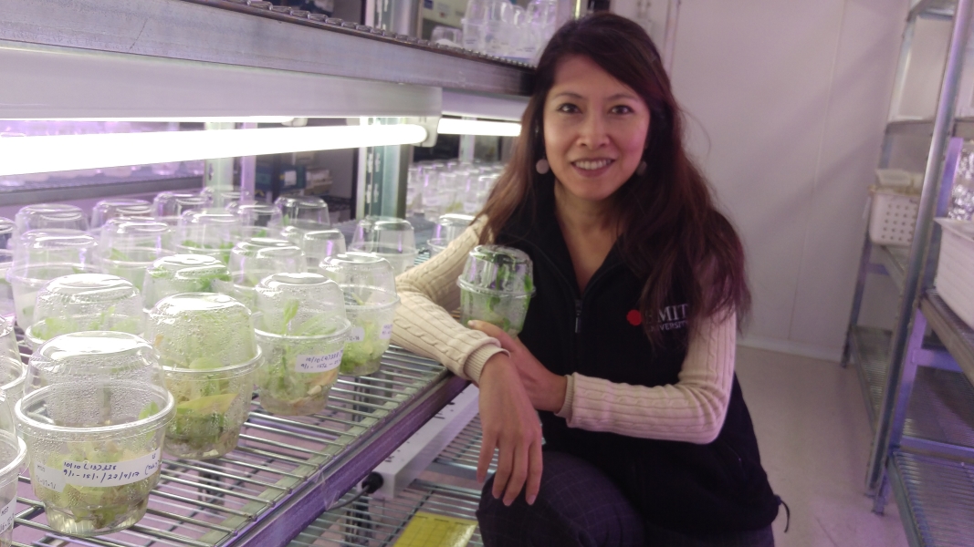 Dr Tien Huynh in her lab.
