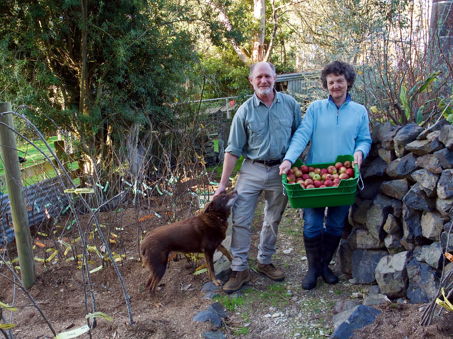 Mark and Margaret Brammar from Strzelecki Heritage Apples displaying some of their produce on their Strzelecki property.