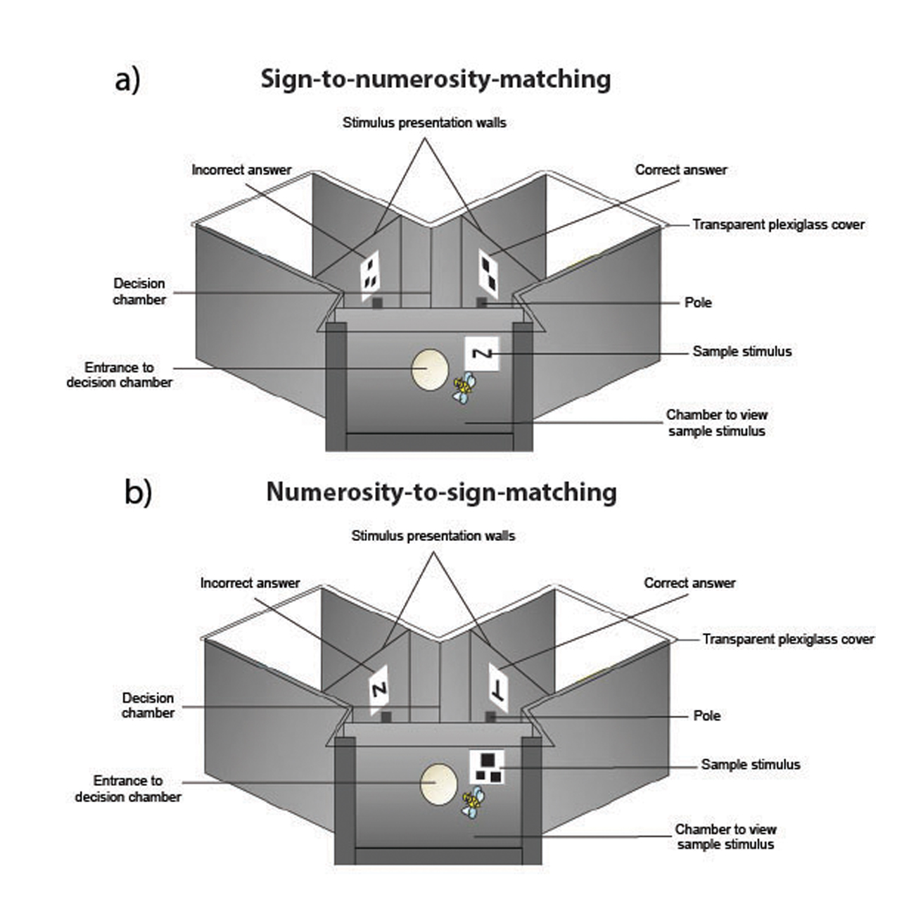 Details of the experimental set up used to train and test the bees.