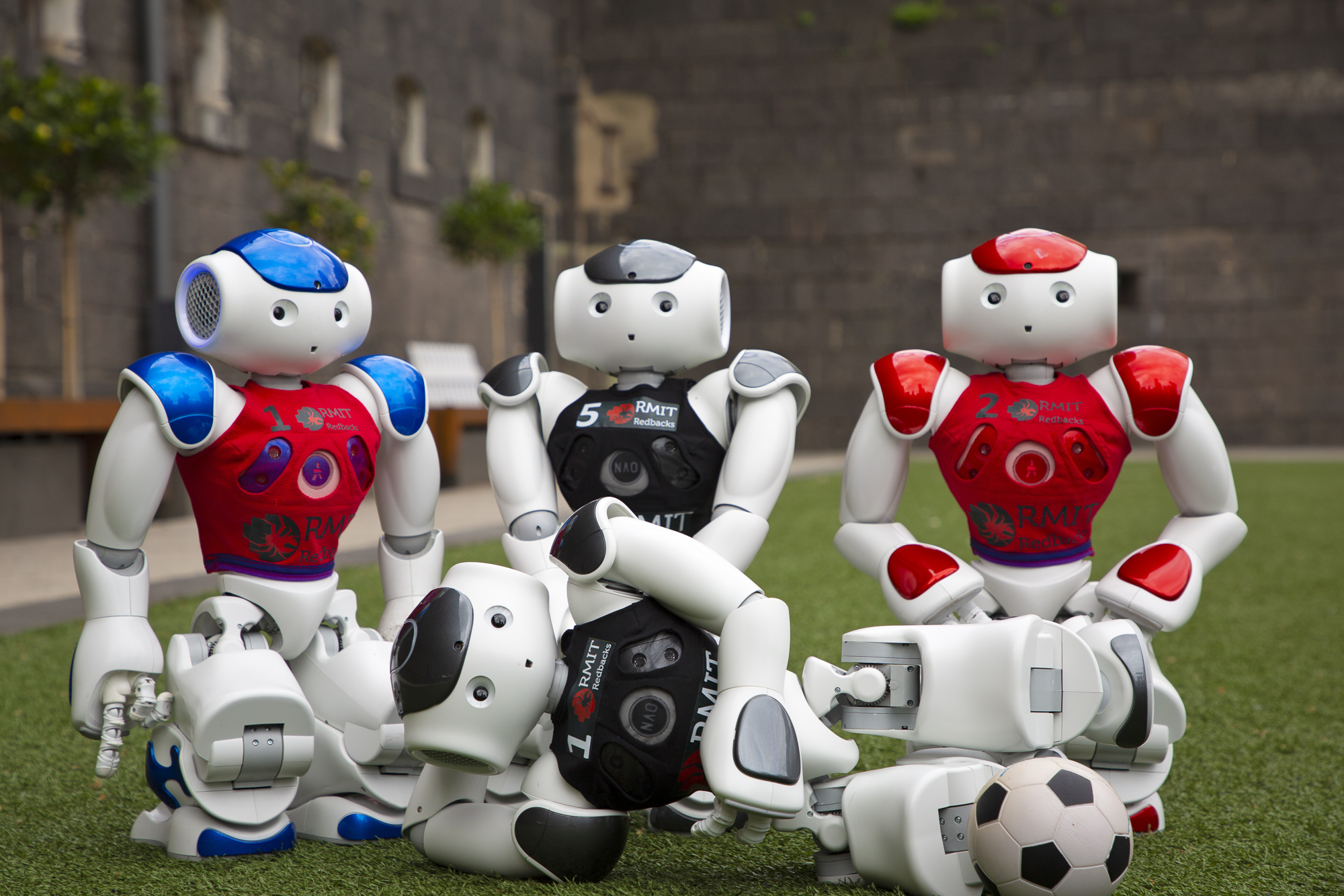 The RMIT RedbackBots: these Nao humanoids will be programmed before competition and cannot be re-programmed once the game starts.