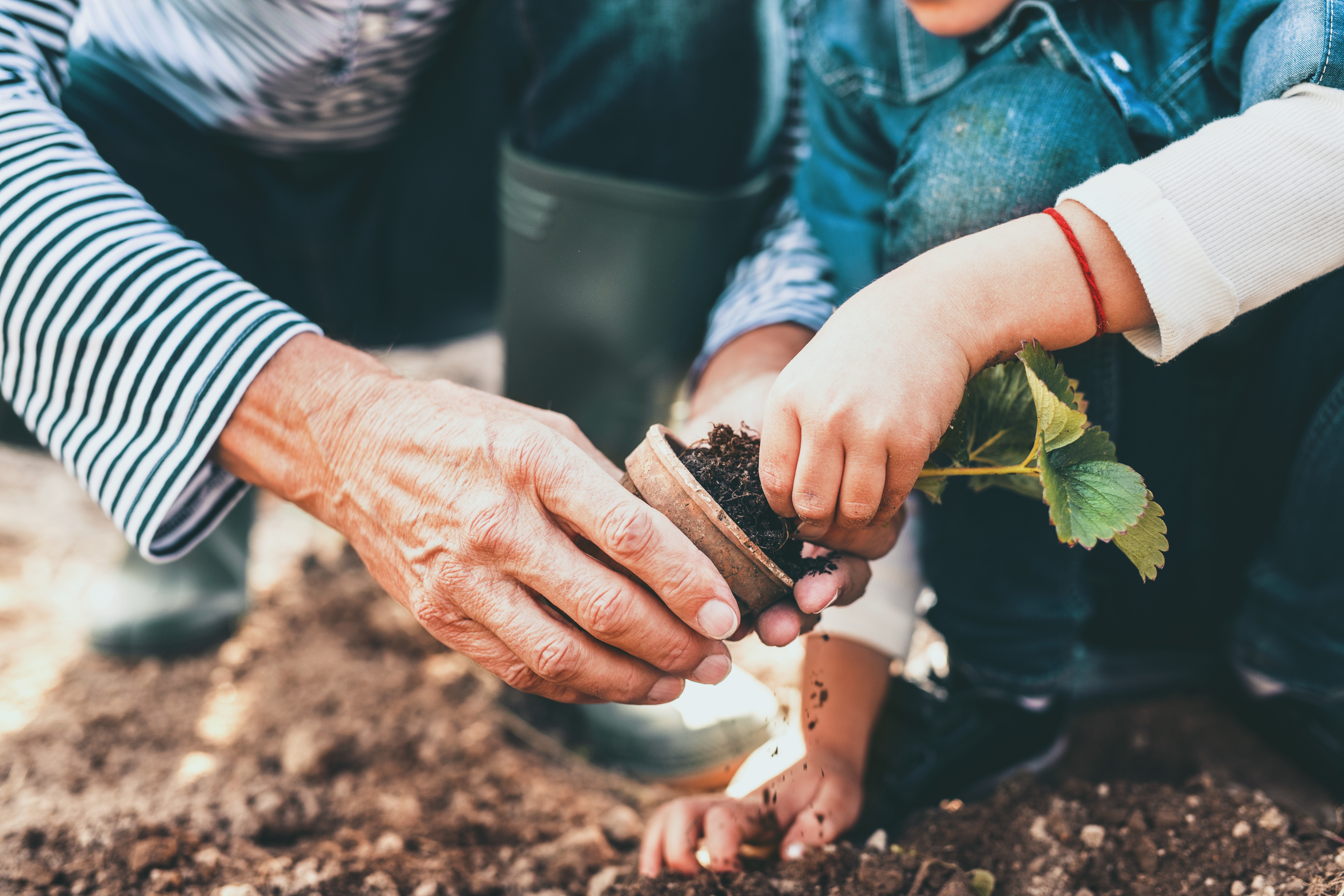 Even a small garden can have a big impact on boosting our biodiversity. 