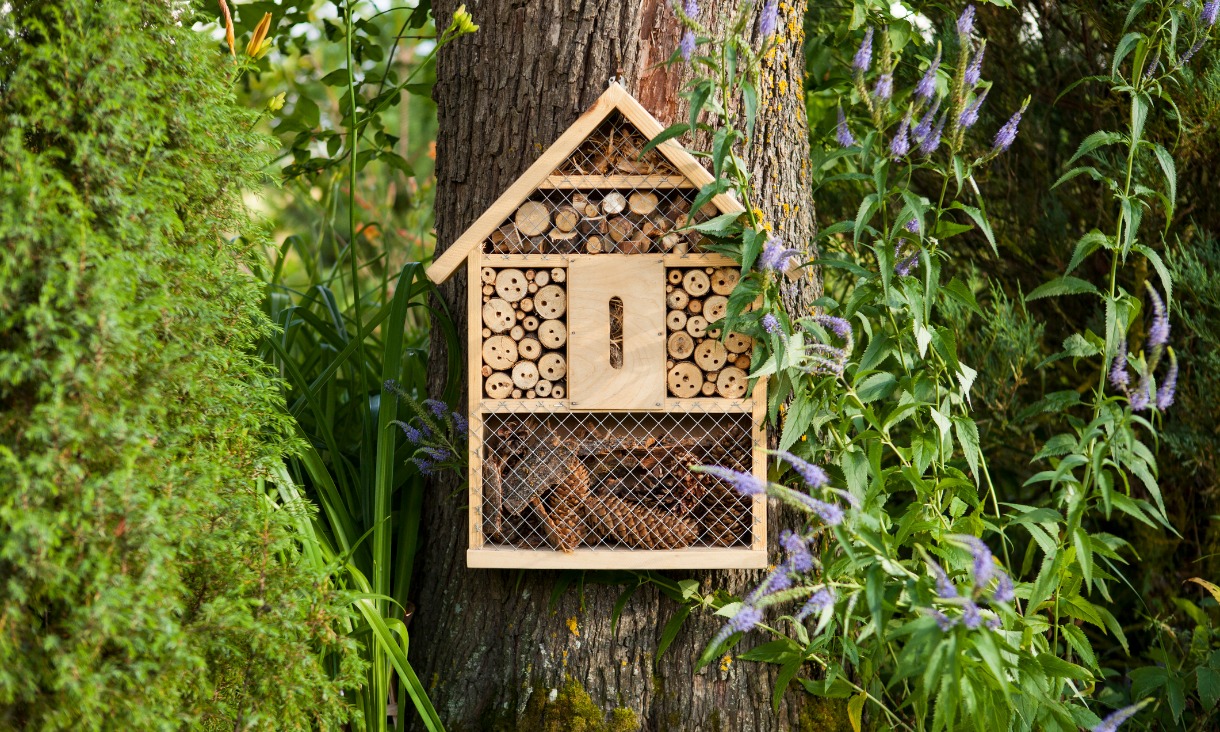 Making a bee hotel gives solitary native bees somewhere to rest and breed