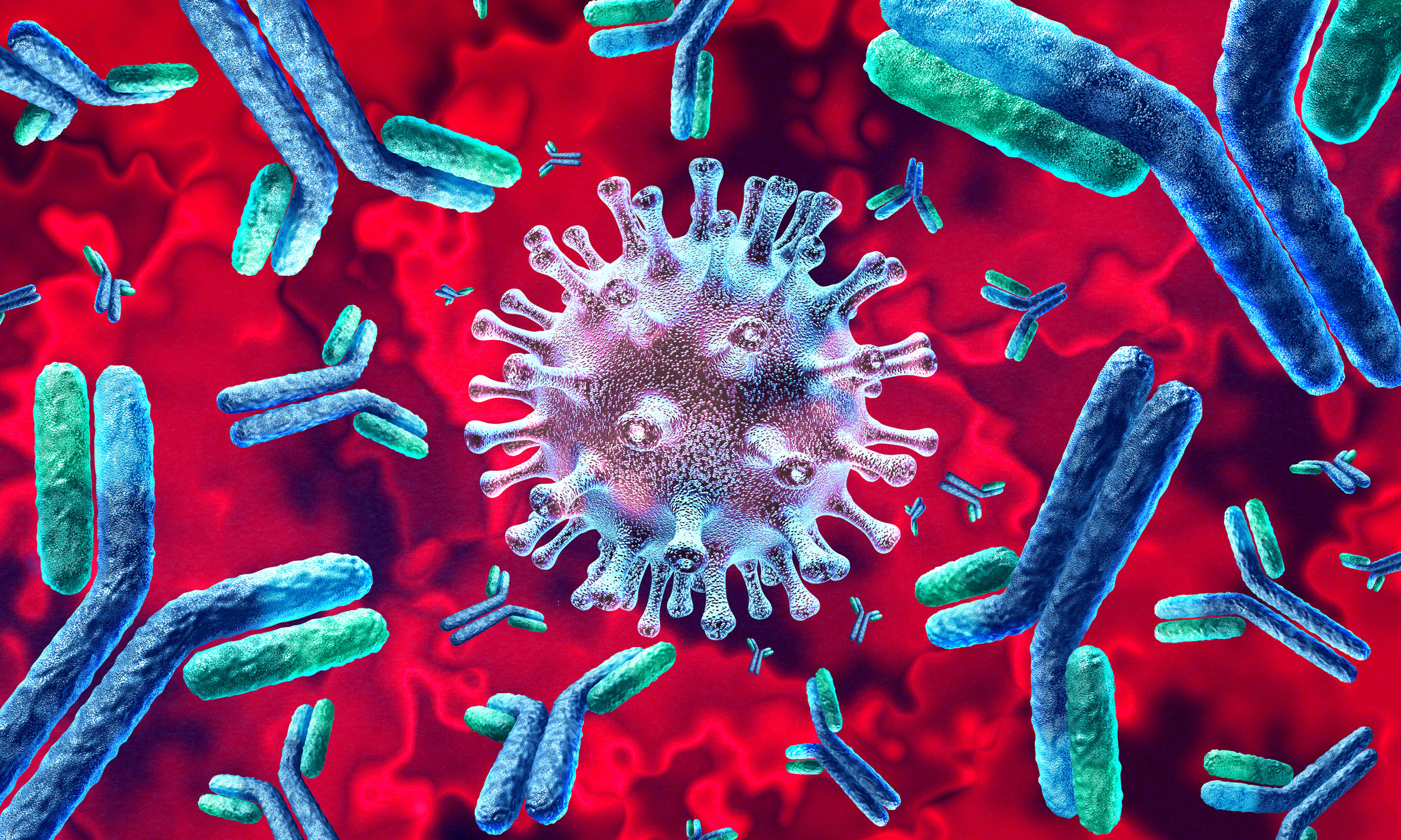 news-virus-antibodies.jpg