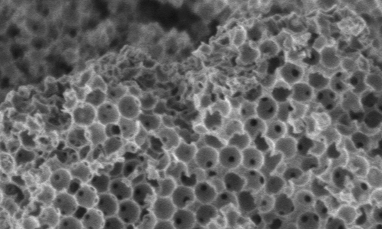 Image shows the porous ceramic sponge fabricated in the study (magnified 20,000 times).