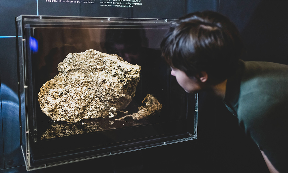 Fatberg on display in the Melbourne Museum.