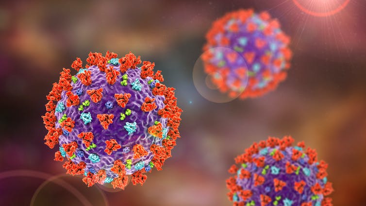 The spike protein, on the surface of the SARS-CoV-2 virus, has been important in developing a vaccine. Shutterstock