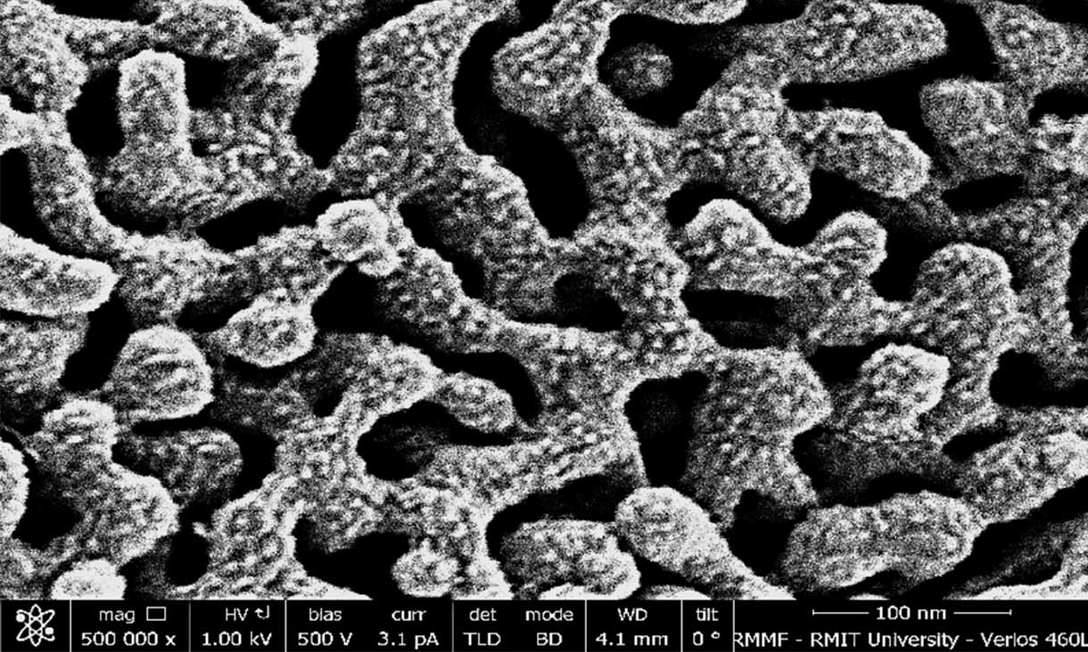 The copper magnified 500,000 times under a scanning electron microscope shows the tiny nano-scale pores in the structure.