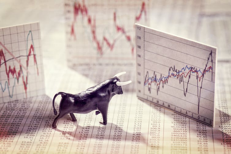 A ‘bull market’ occurs when securities are on the rise, whereas a ‘bear market’ is when securities fall for a sustained period. Both terms are metaphors; a bull thrusts its horns into the air and a bear swipes its paws down. Source: Shutterstock