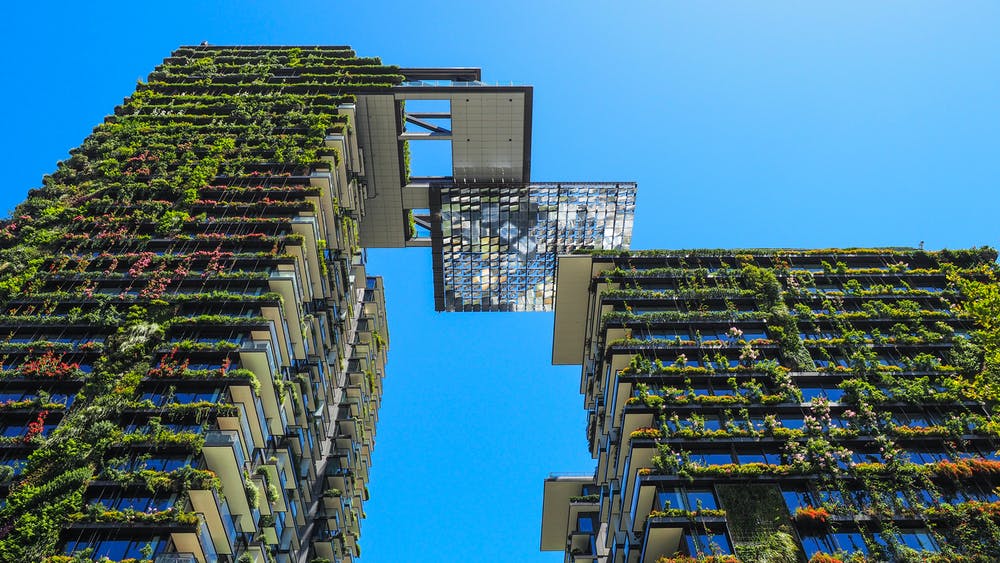 The One Central Park building in Sydney is a global case study in vertical greening, with 350 different plant species blanketing the structure. Shutterstock